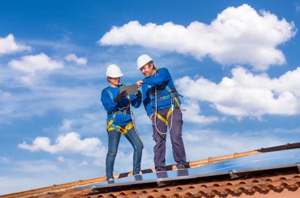 Best Roof Moss and Algae Removal  in , CO